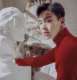 SHOWNU